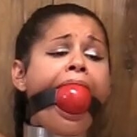 Hucows.com Nue