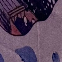 notyourfeedee Nue