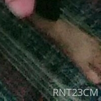 rnt23cm Nue
